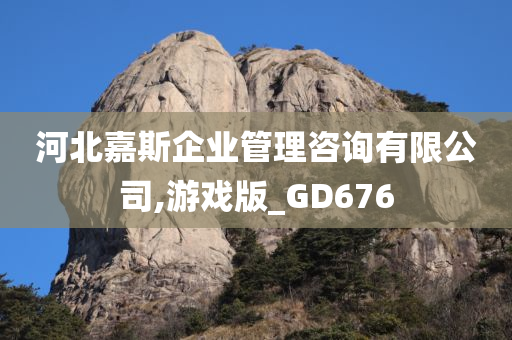 河北嘉斯企业管理咨询有限公司,游戏版_GD676