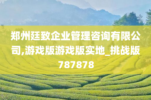 郑州廷致企业管理咨询有限公司,游戏版游戏版实地_挑战版787878