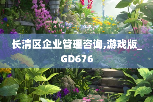 长清区企业管理咨询,游戏版_GD676