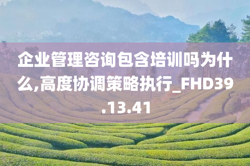 企业管理咨询包含培训吗为什么,高度协调策略执行_FHD39.13.41