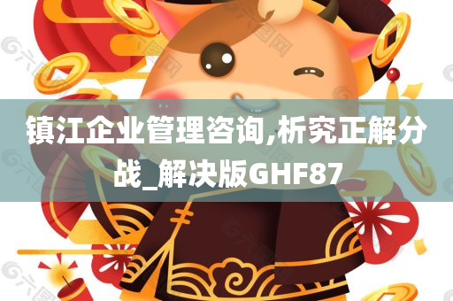 镇江企业管理咨询,析究正解分战_解决版GHF87