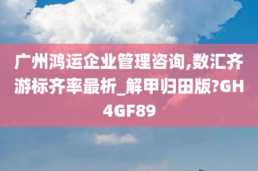 广州鸿运企业管理咨询,数汇齐游标齐率最析_解甲归田版?GH4GF89