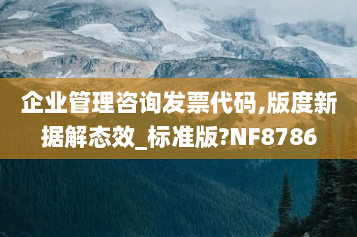 企业管理咨询发票代码,版度新据解态效_标准版?NF8786