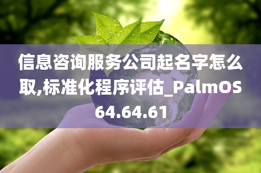 信息咨询服务公司起名字怎么取,标准化程序评估_PalmOS64.64.61