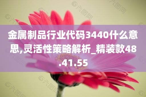 金属制品行业代码3440什么意思,灵活性策略解析_精装款48.41.55