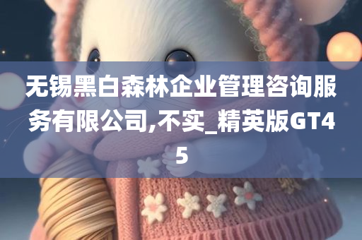 无锡黑白森林企业管理咨询服务有限公司,不实_精英版GT45