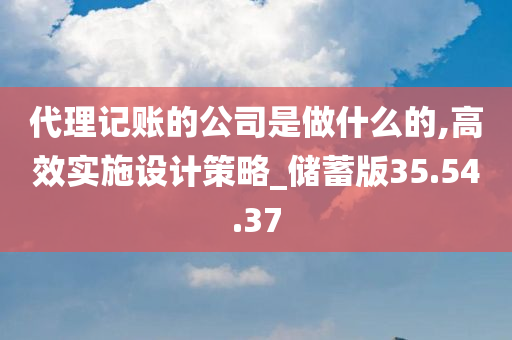 代理记账的公司是做什么的,高效实施设计策略_储蓄版35.54.37