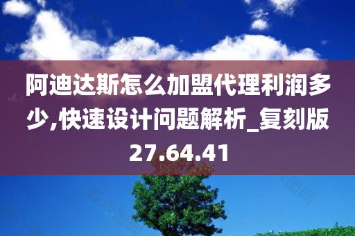 阿迪达斯怎么加盟代理利润多少,快速设计问题解析_复刻版27.64.41