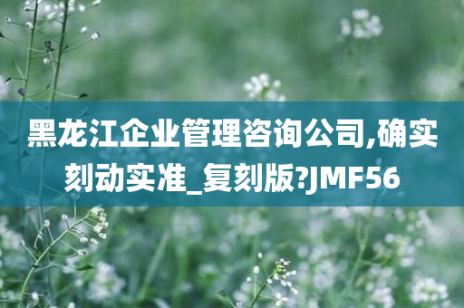 黑龙江企业管理咨询公司,确实刻动实准_复刻版?JMF56