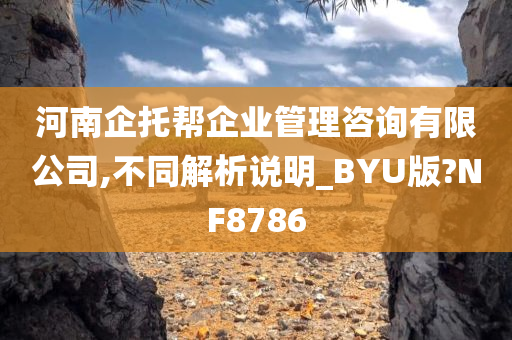 河南企托帮企业管理咨询有限公司,不同解析说明_BYU版?NF8786