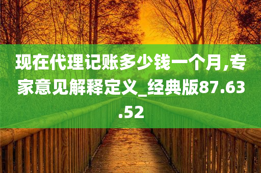 现在代理记账多少钱一个月,专家意见解释定义_经典版87.63.52