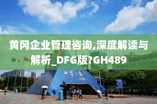 黄冈企业管理咨询,深度解读与解析_DFG版?GH489