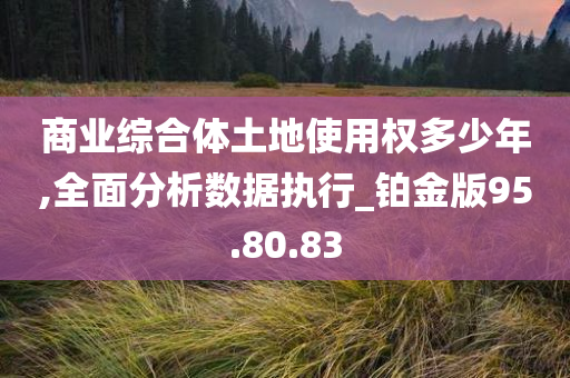 商业综合体土地使用权多少年,全面分析数据执行_铂金版95.80.83