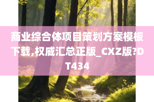 商业综合体项目策划方案模板下载,权威汇总正版_CXZ版?DT434