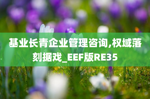 基业长青企业管理咨询,权域落刻据戏_EEF版RE35