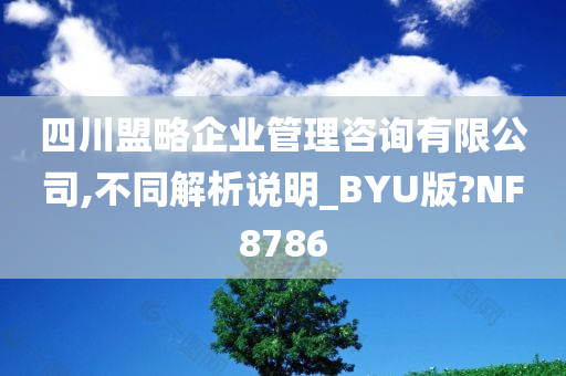 四川盟略企业管理咨询有限公司,不同解析说明_BYU版?NF8786