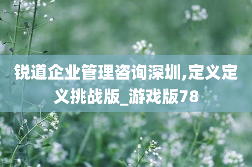 锐道企业管理咨询深圳,定义定义挑战版_游戏版78