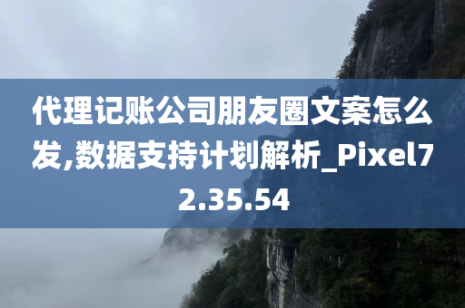 代理记账公司朋友圈文案怎么发,数据支持计划解析_Pixel72.35.54