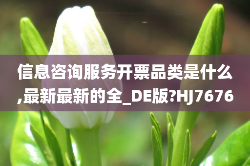 信息咨询服务开票品类是什么,最新最新的全_DE版?HJ7676