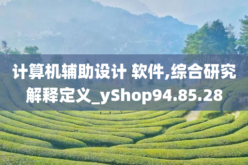 计算机辅助设计 软件,综合研究解释定义_yShop94.85.28