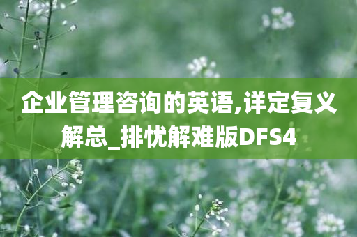 企业管理咨询的英语,详定复义解总_排忧解难版DFS4