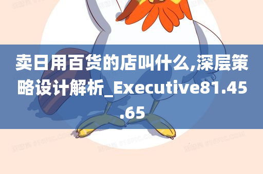 卖日用百货的店叫什么,深层策略设计解析_Executive81.45.65