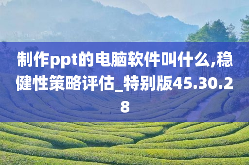 制作ppt的电脑软件叫什么,稳健性策略评估_特别版45.30.28