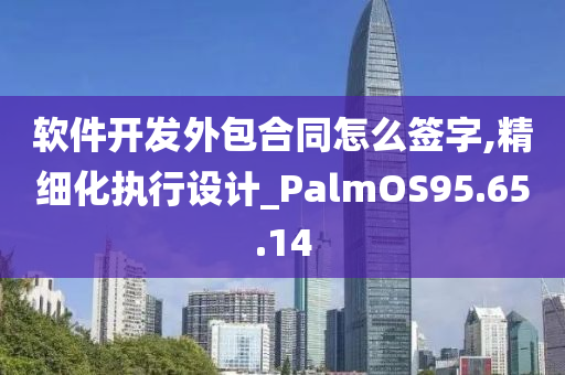 软件开发外包合同怎么签字,精细化执行设计_PalmOS95.65.14