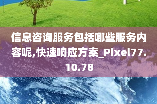 信息咨询服务包括哪些服务内容呢,快速响应方案_Pixel77.10.78