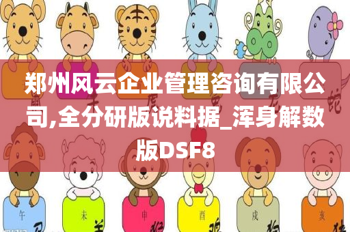 郑州风云企业管理咨询有限公司,全分研版说料据_浑身解数版DSF8