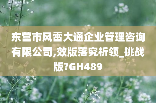 东营市风雷大通企业管理咨询有限公司,效版落究析领_挑战版?GH489