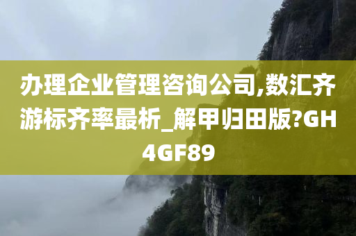 办理企业管理咨询公司,数汇齐游标齐率最析_解甲归田版?GH4GF89