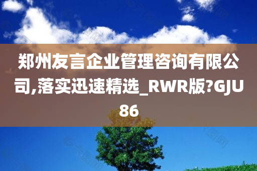 郑州友言企业管理咨询有限公司,落实迅速精选_RWR版?GJU86