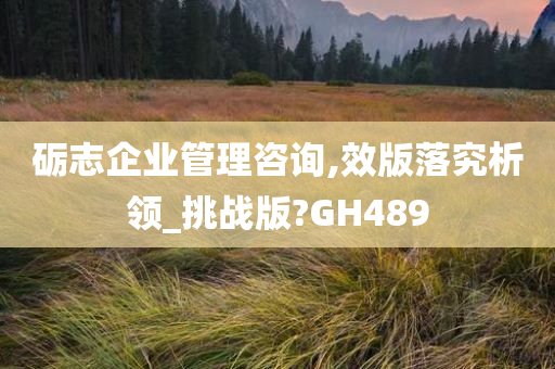 砺志企业管理咨询,效版落究析领_挑战版?GH489