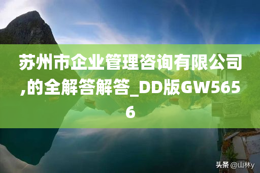 苏州市企业管理咨询有限公司,的全解答解答_DD版GW5656