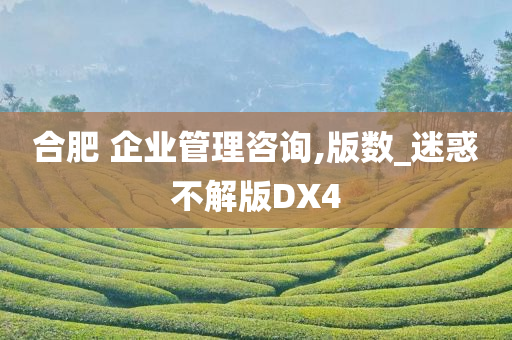 合肥 企业管理咨询,版数_迷惑不解版DX4