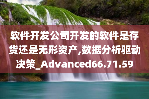 软件开发公司开发的软件是存货还是无形资产,数据分析驱动决策_Advanced66.71.59