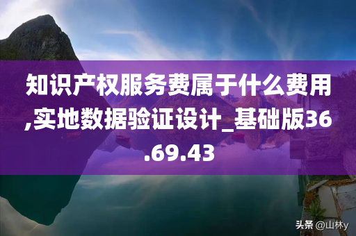 知识产权服务费属于什么费用,实地数据验证设计_基础版36.69.43