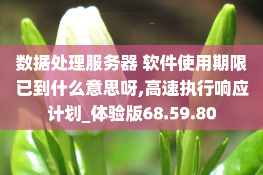 数据处理服务器 软件使用期限已到什么意思呀,高速执行响应计划_体验版68.59.80