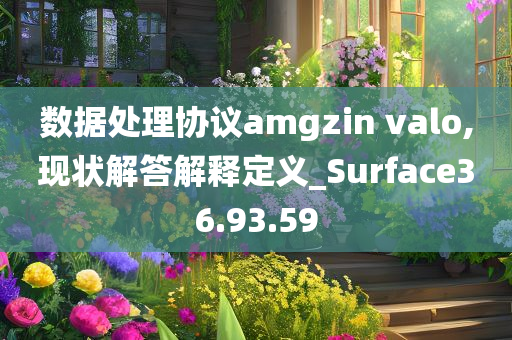 数据处理协议amgzin valo,现状解答解释定义_Surface36.93.59