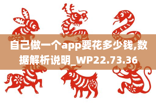 自己做一个app要花多少钱,数据解析说明_WP22.73.36