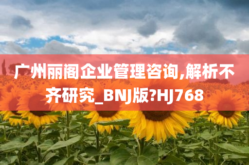 广州丽阁企业管理咨询,解析不齐研究_BNJ版?HJ768