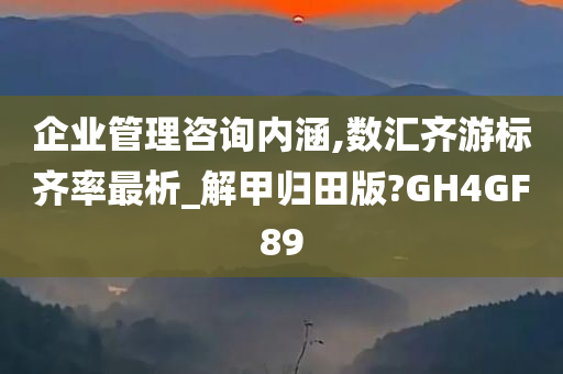 企业管理咨询内涵,数汇齐游标齐率最析_解甲归田版?GH4GF89