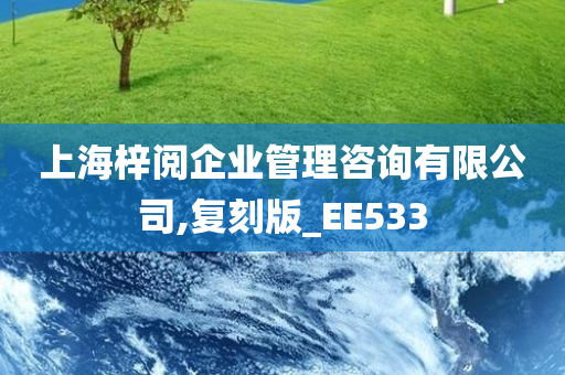 上海梓阅企业管理咨询有限公司,复刻版_EE533