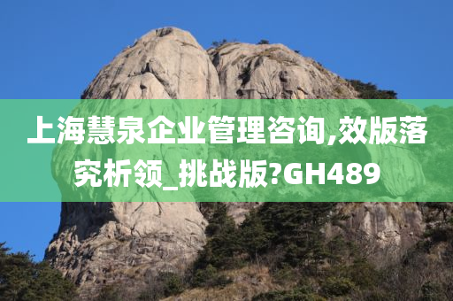 上海慧泉企业管理咨询,效版落究析领_挑战版?GH489