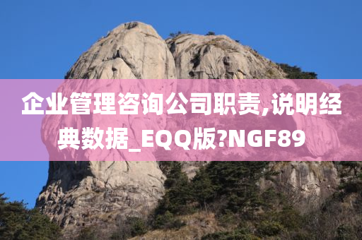 企业管理咨询公司职责,说明经典数据_EQQ版?NGF89