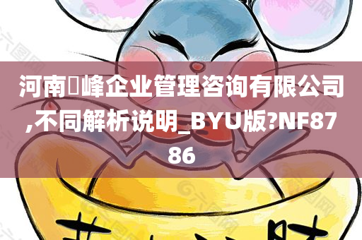 河南璟峰企业管理咨询有限公司,不同解析说明_BYU版?NF8786