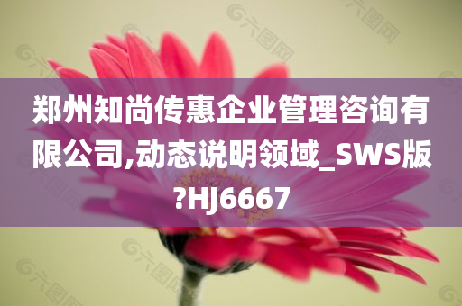 郑州知尚传惠企业管理咨询有限公司,动态说明领域_SWS版?HJ6667