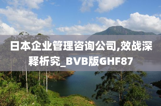 日本企业管理咨询公司,效战深释析究_BVB版GHF87