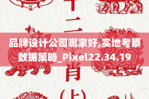 品牌设计公司哪家好,实地考察数据策略_Pixel22.34.19